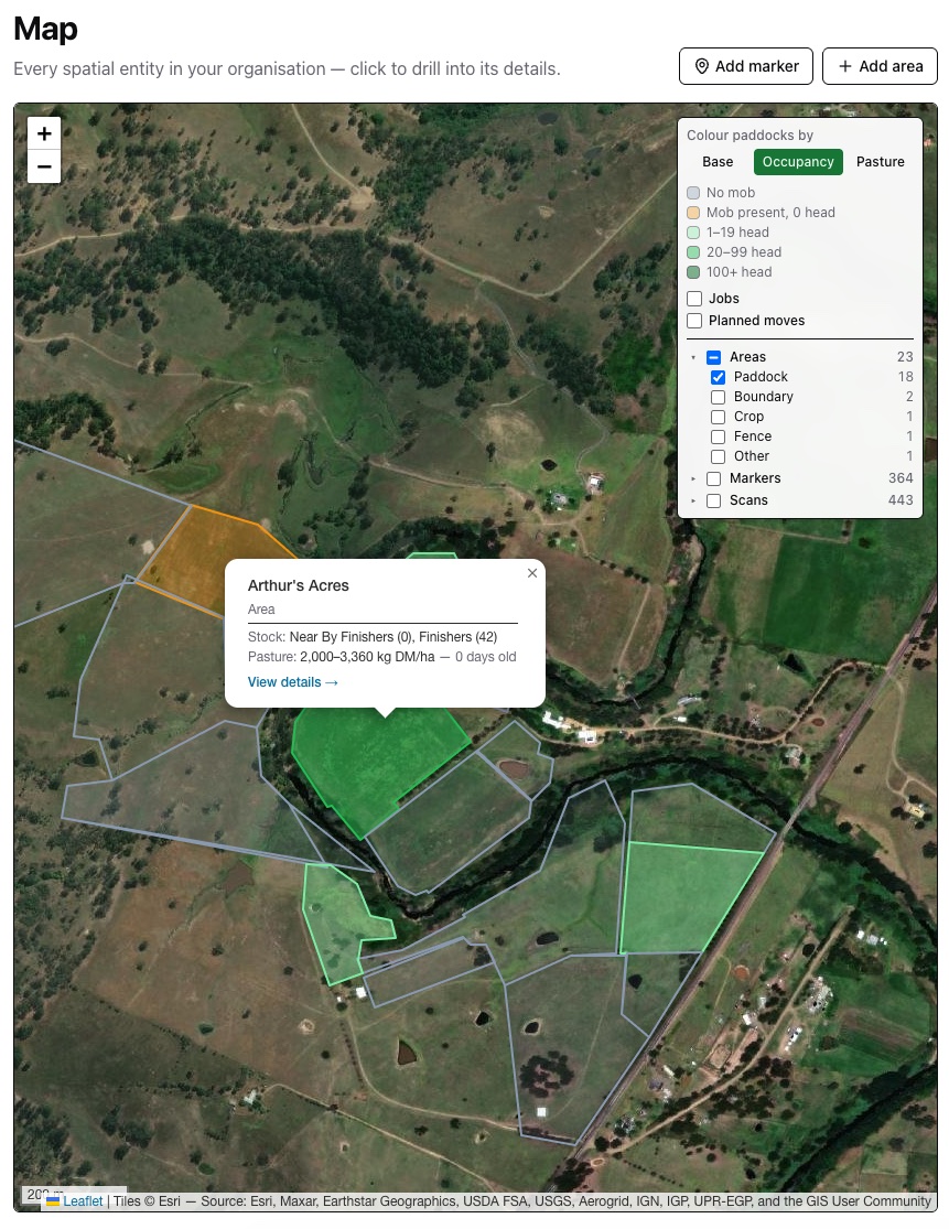 The Alffi map: paddock boundaries drawn over satellite imagery, shaded by how much stock each is carrying, with a panel listing 23 areas, 364 markers and 443 scans. An open card reads Arthur&rsquo;s Acres — Finishers, 42 head — pasture 2,000 to 3,360 kilograms of dry matter per hectare, nought days old.